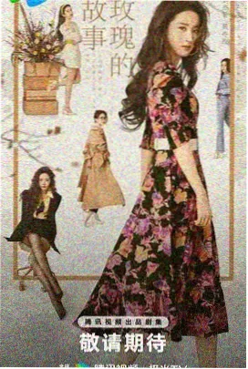 莲花楼 免费观看电视剧